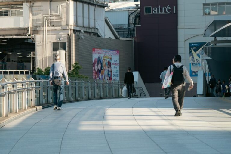 原作アニメとオリジナルアニメ、魅力と制作の裏側