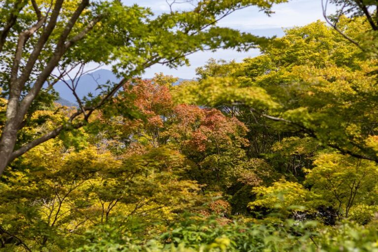 夏から秋へ、心地よく季節をつなぐアイテムたち