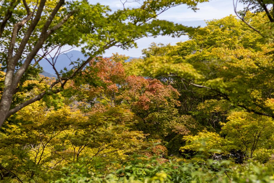 夏から秋へ、心地よく季節をつなぐアイテムたち